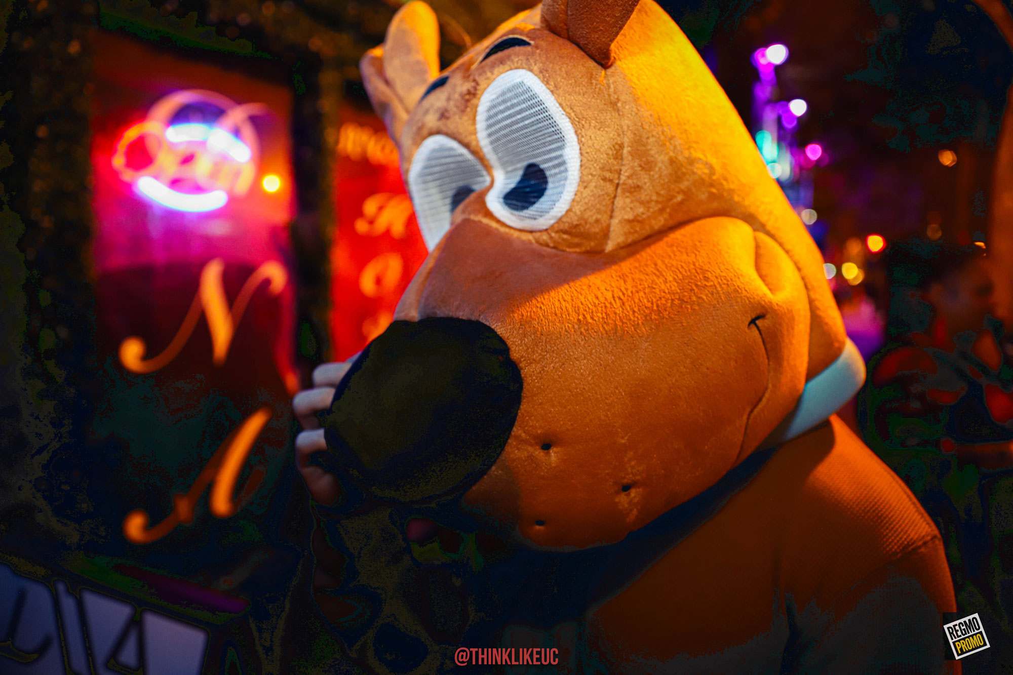 AIMG_9635
