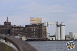IMG_5728